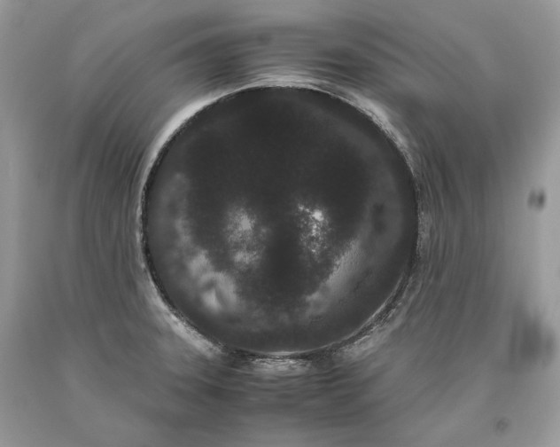 X0000093461331200710261012