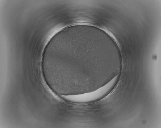 X0000093461333200710261012