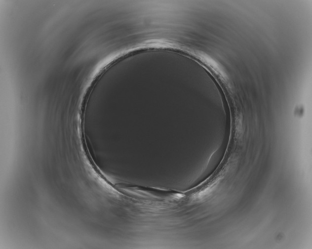 X0000093461334200710261012