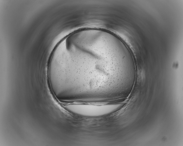 X0000093461335200710261012