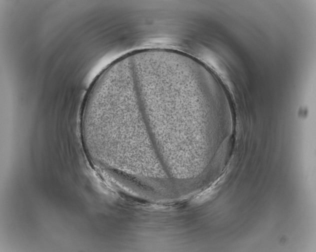 X0000093461336200710261012