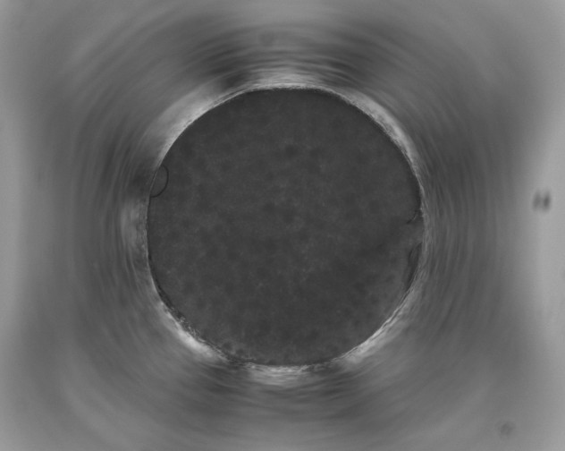 X0000093461337200710261012