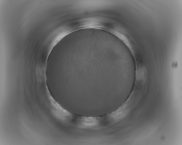 X0000093461338200710261012