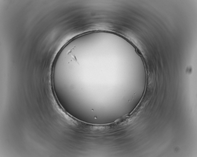 X0000093461339200710261012