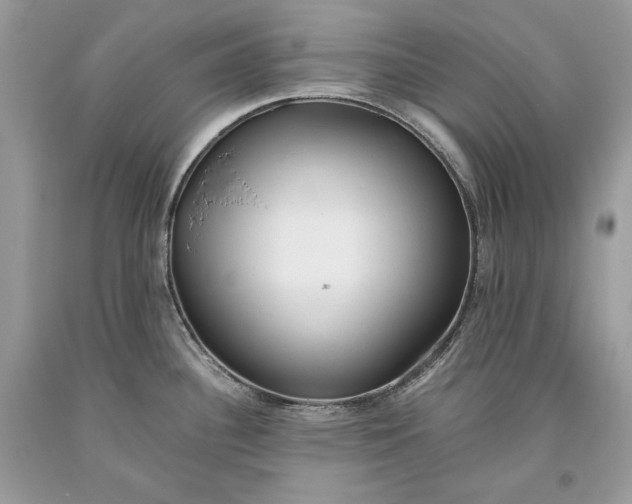 X0000093461340200710261012