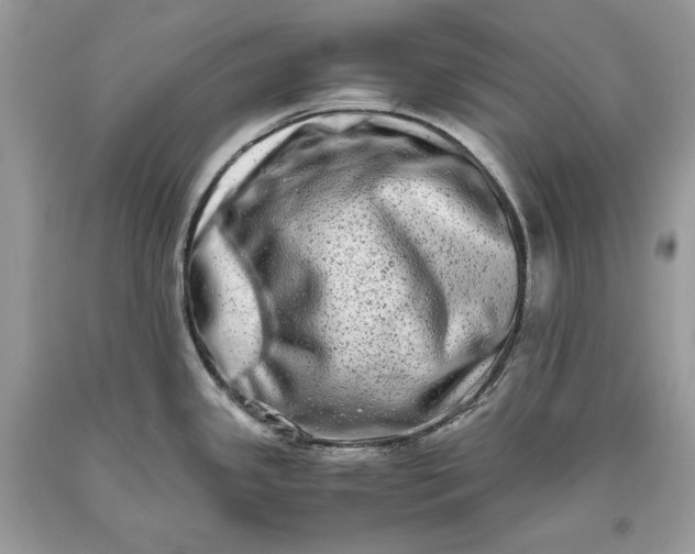 X0000093461341200710261012