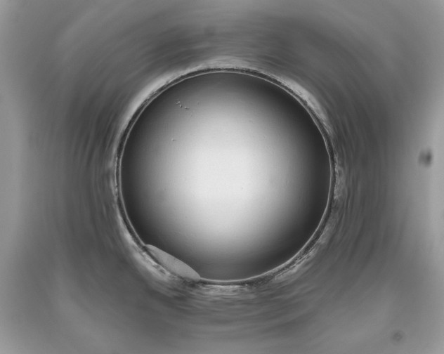 X0000093461342200710261012