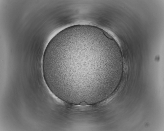 X0000093461343200710261012