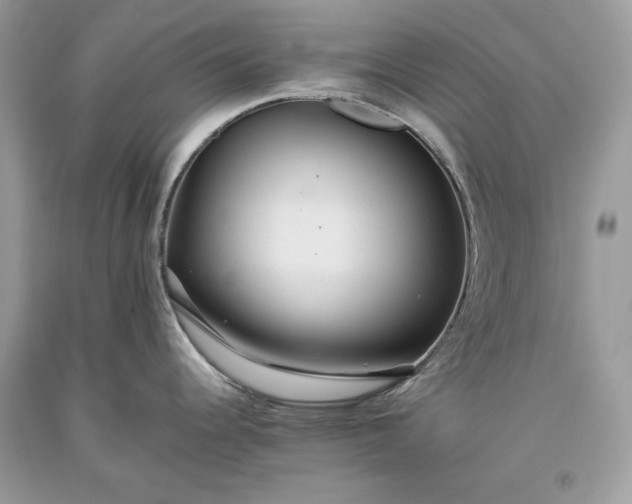 X0000093461344200710261012