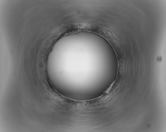 X0000093461345200710261012