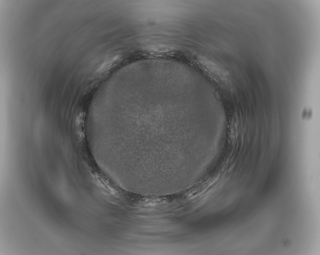 X0000093461346200710261012