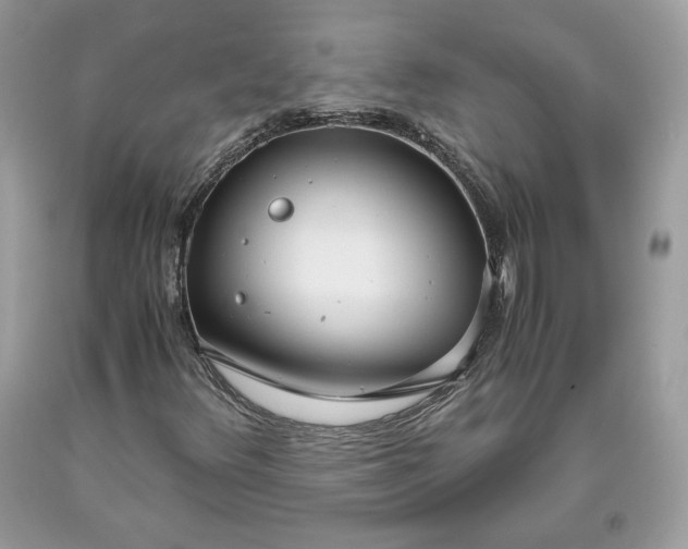 X0000093461348200710261012