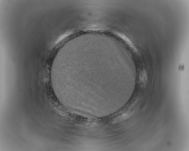 X0000093461350200710261012