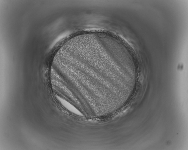 X0000093461351200710261012