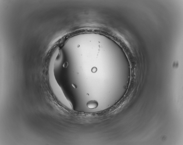 X0000093461352200710261012