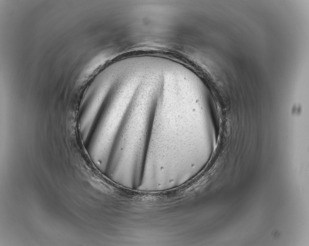 X0000093461355200710261011