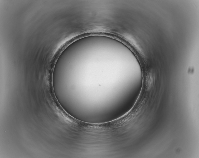 X0000093461356200710261011