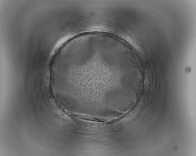 X0000093461358200710261011