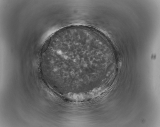 X0000093461359200710261011