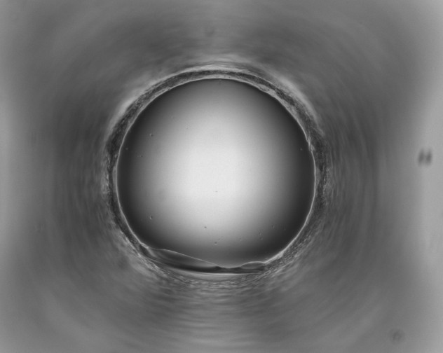 X0000093461360200710261011