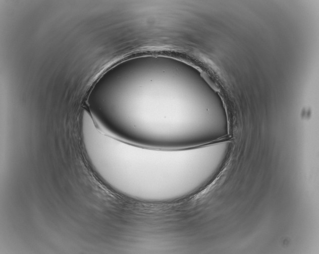 X0000093461361200710261011