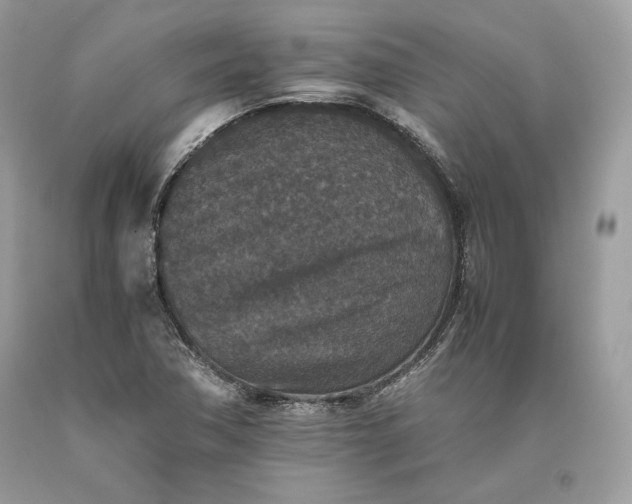 X0000093461362200710261011