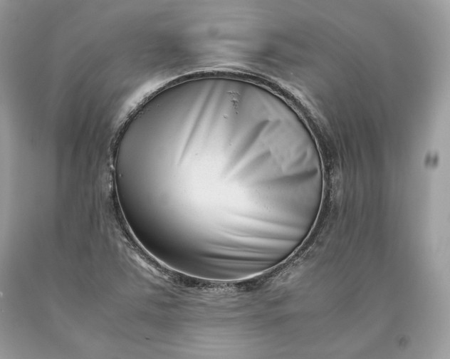 X0000093461363200710261011