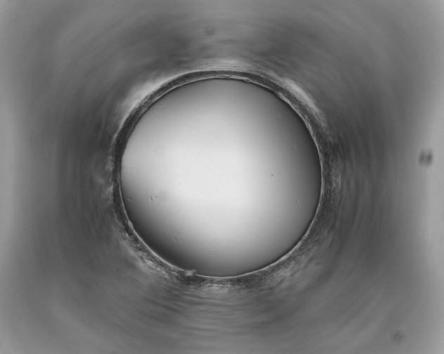 X0000093461364200710261011