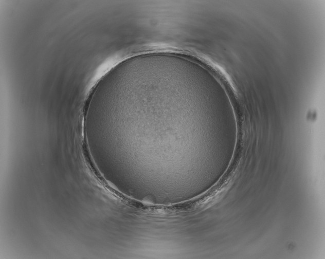 X0000093461365200710261011