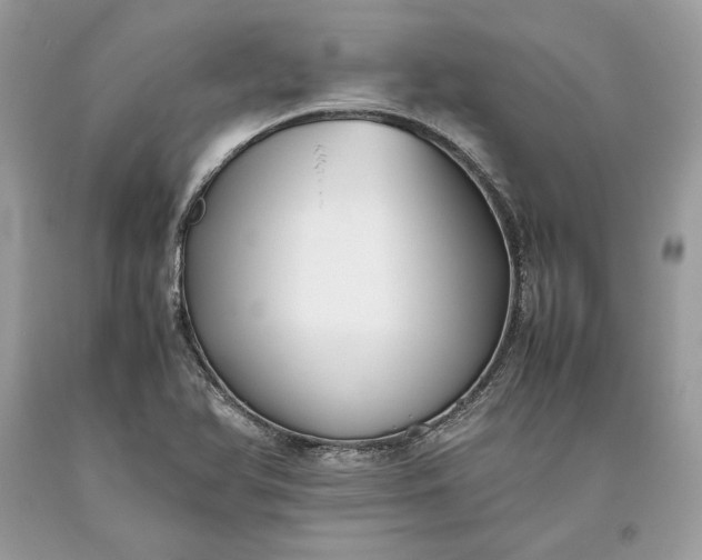 X0000093461366200710261011