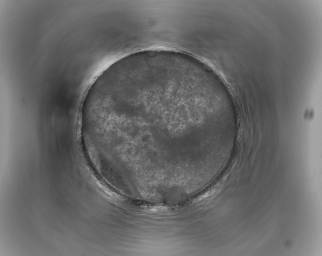 X0000093461367200710261011