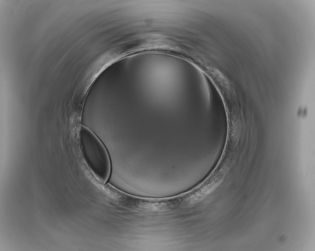 X0000093461369200710261011