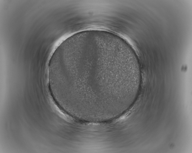 X0000093461371200710261011