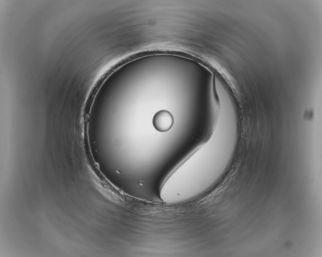 X0000093461372200710261011