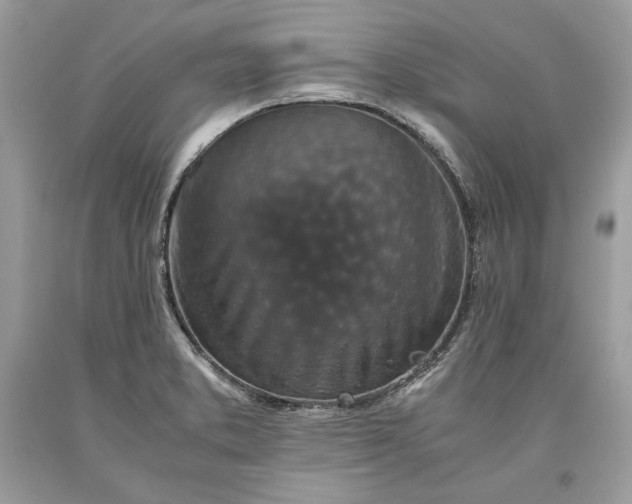 X0000093461373200710261011