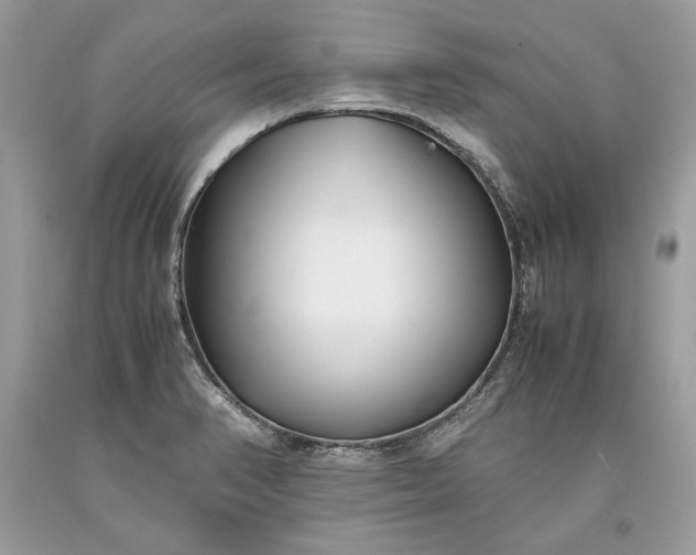 X0000093461374200710261011