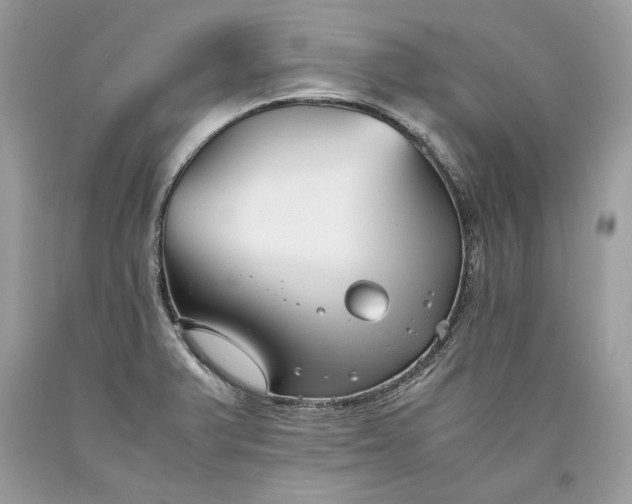 X0000093461375200710261011