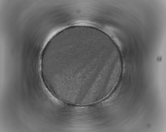 X0000093461376200710261011