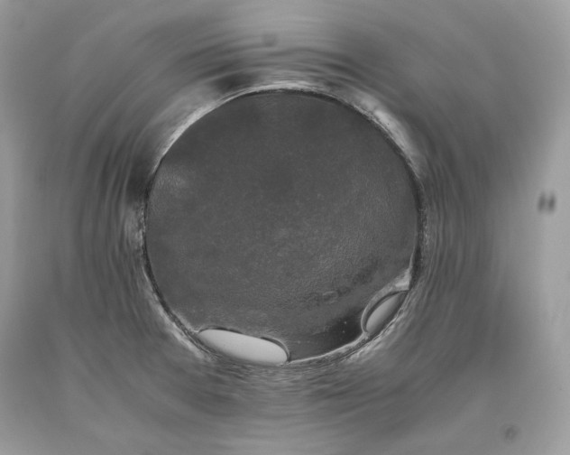 X0000093461377200710261011