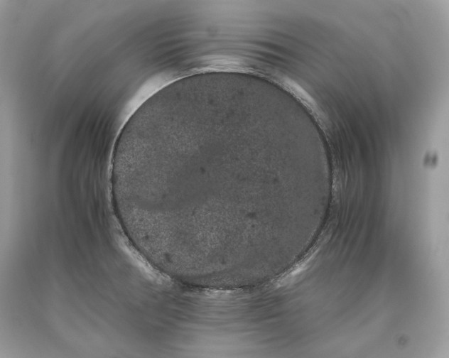 X0000093461378200710261011