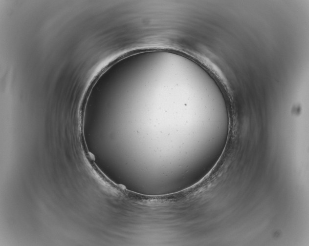 X0000093461380200710261011