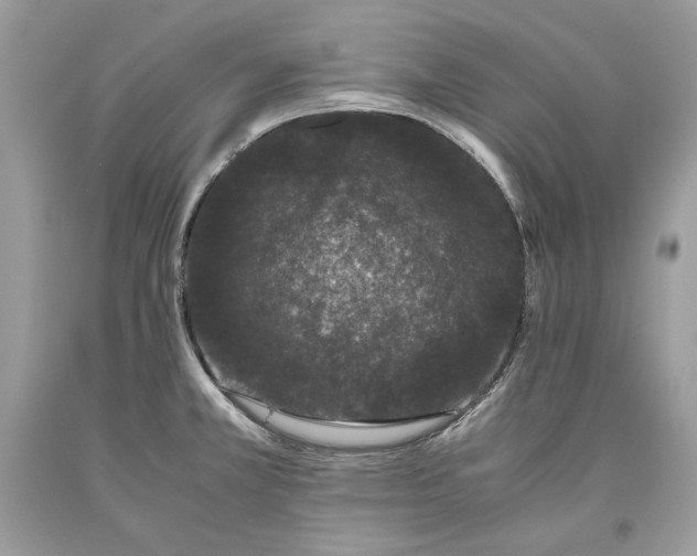 X0000093461381200710261011