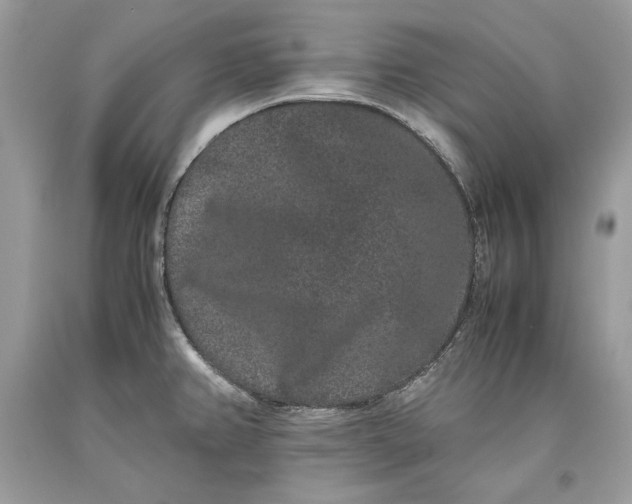 X0000093461382200710261011