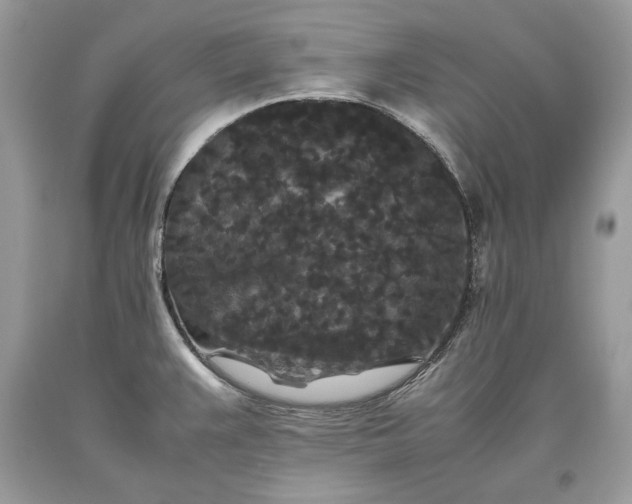 X0000093461383200710261011