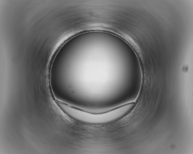 X0000093461384200710261011