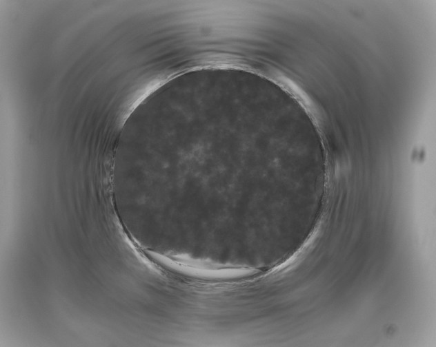 X0000093461385200710261011