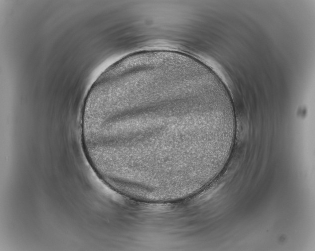 X0000093461387200710261011