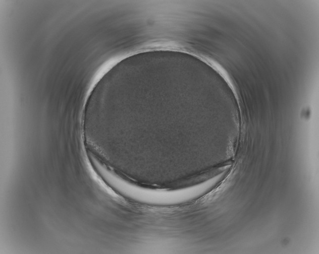 X0000093461389200710261011