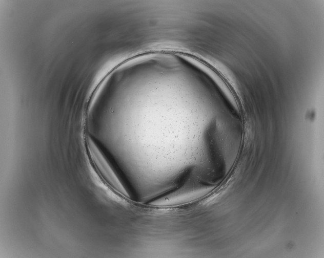 X0000093461390200710261011