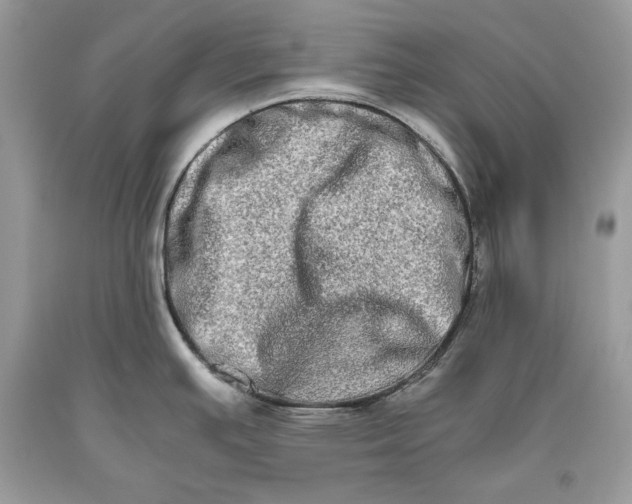 X0000093461391200710261011